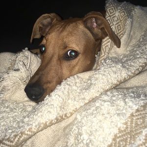 Meet your Posher, Christine